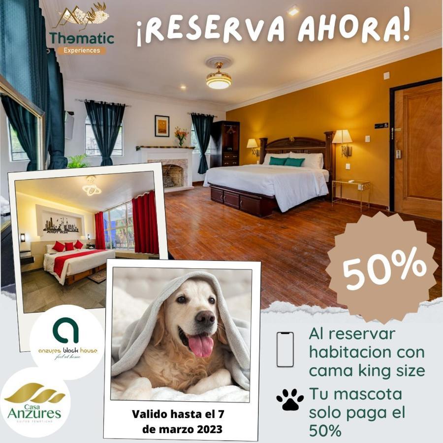 Anzures Black House Mexico City Luaran gambar